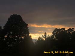 IMG_6282