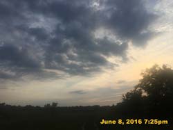 IMG_6428