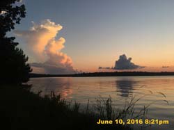 IMG_6553