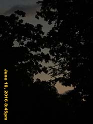 IMG_6566