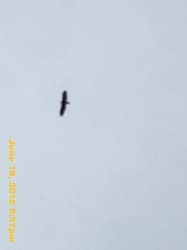 IMG_6771