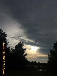 IMG_6774