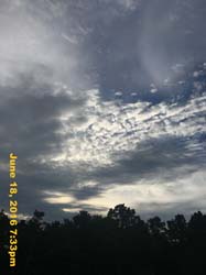 IMG_6786