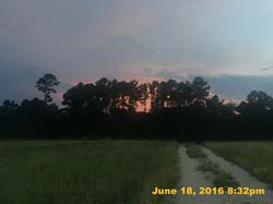 IMG_6796