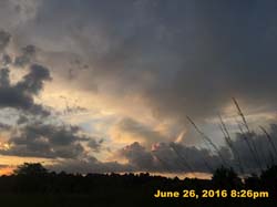 IMG_7418