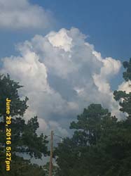 IMG_7614