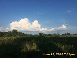 IMG_7649