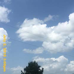 IMG_7917