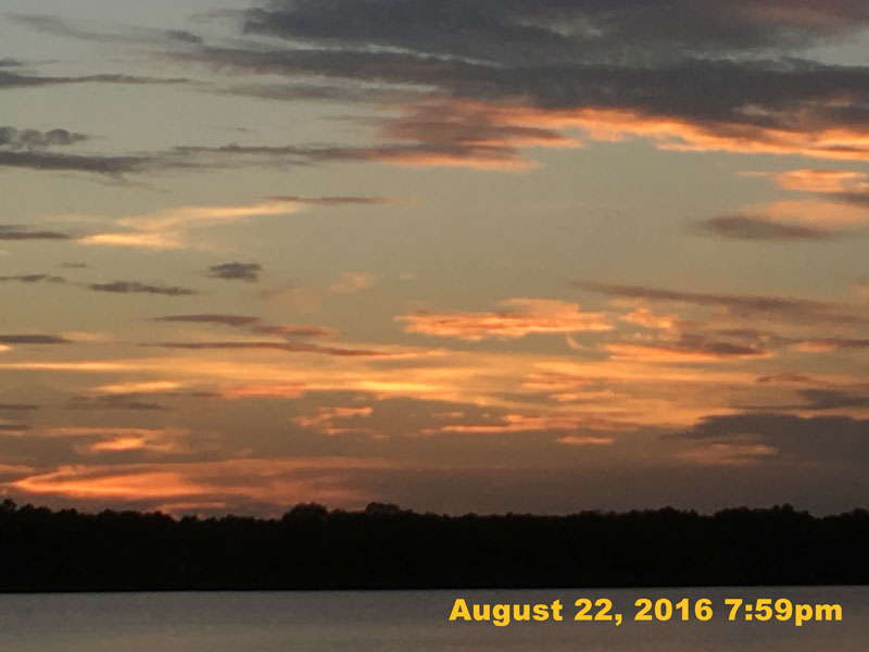 IMG_0878