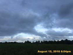 IMG_0439