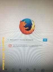 IMG_0571