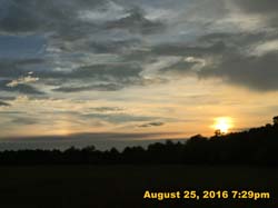 IMG_1036