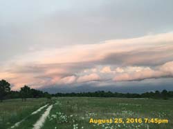 IMG_1049