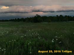 IMG_1051