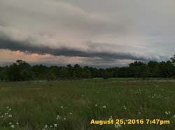 IMG_1056