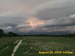 IMG_1058