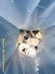 IMG_1219