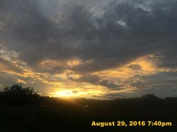 IMG_1351