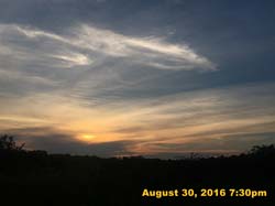 IMG_1428