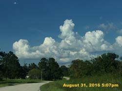 IMG_1478