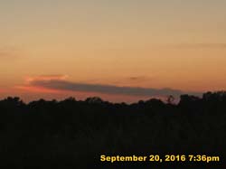 IMG_2561