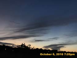 IMG_0130