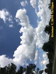 IMG_0147