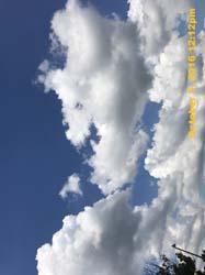 IMG_0148