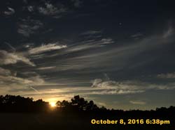 IMG_0184