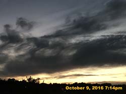 IMG_0235