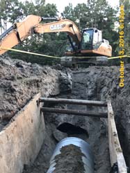 IMG_0391