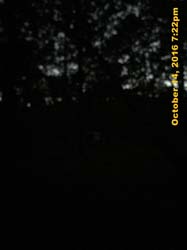 IMG_0462