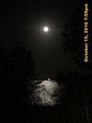 IMG_0525