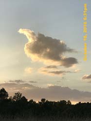 IMG_0553