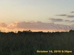 IMG_0554
