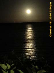 IMG_0565