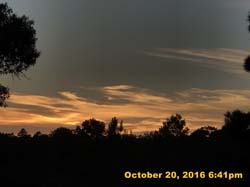IMG_0690