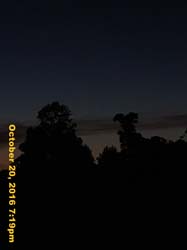 IMG_0701