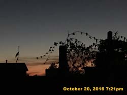 IMG_0702