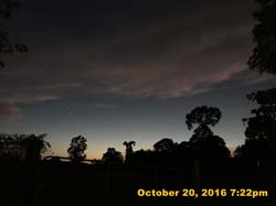 IMG_0703