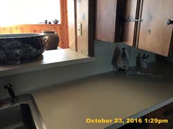 IMG_0819