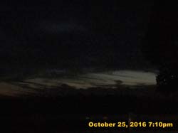 IMG_0910