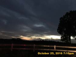 IMG_0911