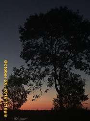 IMG_0919