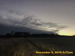 IMG_2432