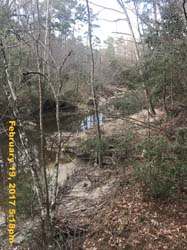 IMG_5210