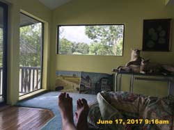 IMG_2013