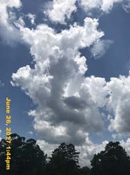 IMG_2479