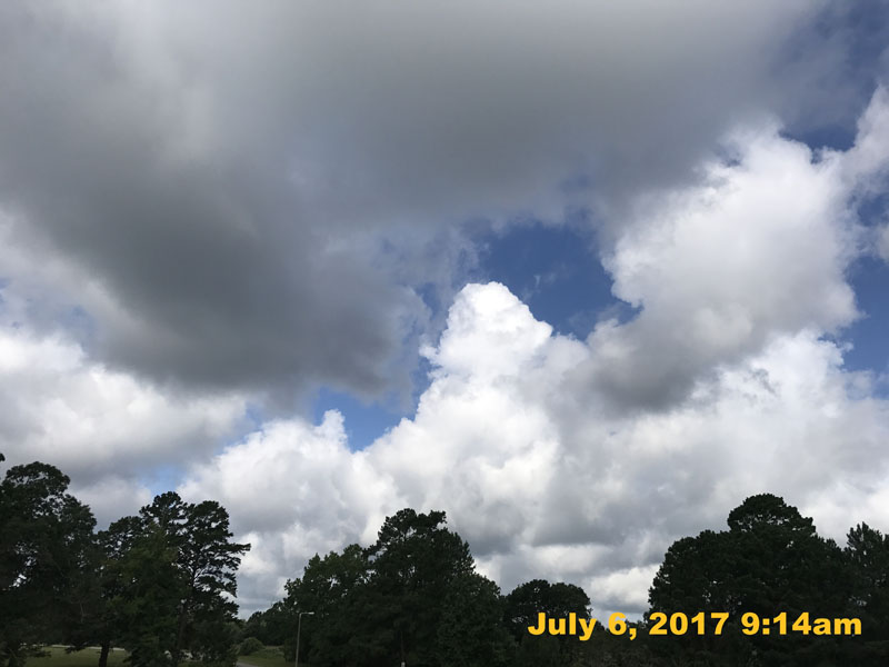 IMG_2966