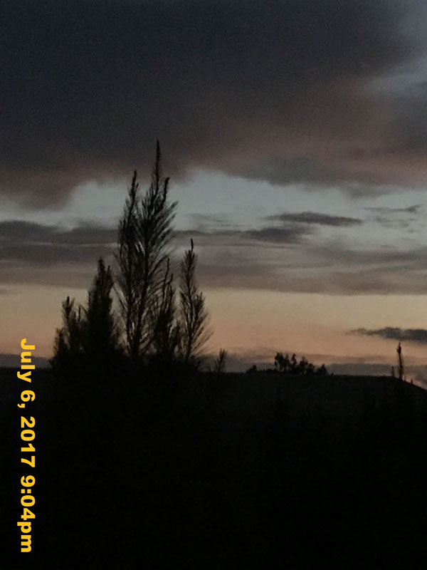 IMG_3025
